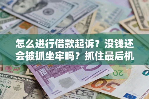 武汉怎么进行借款起诉？没钱还会被抓坐牢吗？抓住最后机会！
