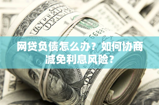武汉网贷负债怎么办？如何协商减免利息风险？