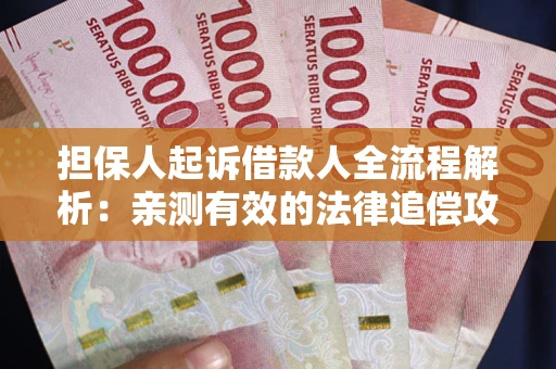 武汉担保人起诉借款人全流程解析：亲测有效的法律追偿攻略