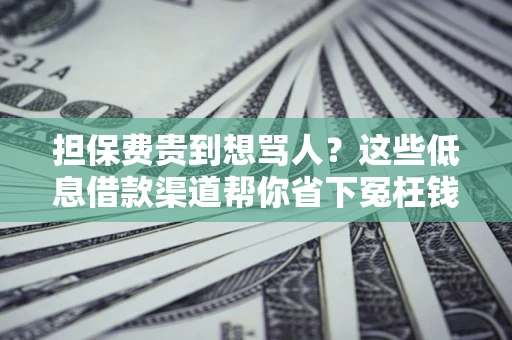 武汉担保费贵到想骂人？这些低息借款渠道帮你省下冤枉钱