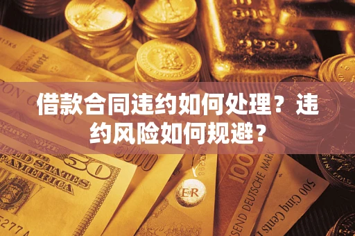 武汉借款合同违约如何处理？违约风险如何规避？
