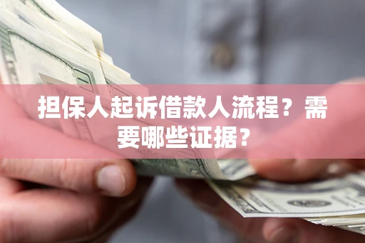 武汉担保人起诉借款人流程？需要哪些证据？