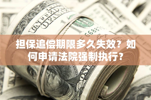 武汉担保追偿期限多久失效？如何申请法院强制执行？