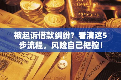 武汉被起诉借款纠纷？看清这5步流程，风险自己把控！