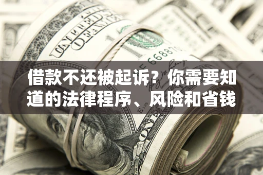 武汉借款不还被起诉？你需要知道的法律程序、风险和省钱技巧