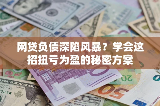 武汉网贷负债深陷风暴？学会这招扭亏为盈的秘密方案